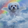Angel Wings Pet Memorial Customized Photo Paintings