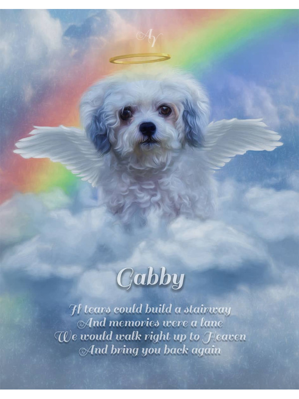 Angel Wings Pet Memorial Customized Photo Paintings