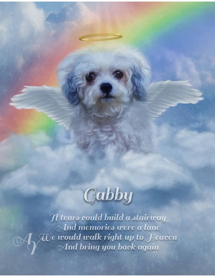 Angel Wings Pet Memorial Customized Photo Paintings Angel Wings Pet Memorial Customized Photo Paintings