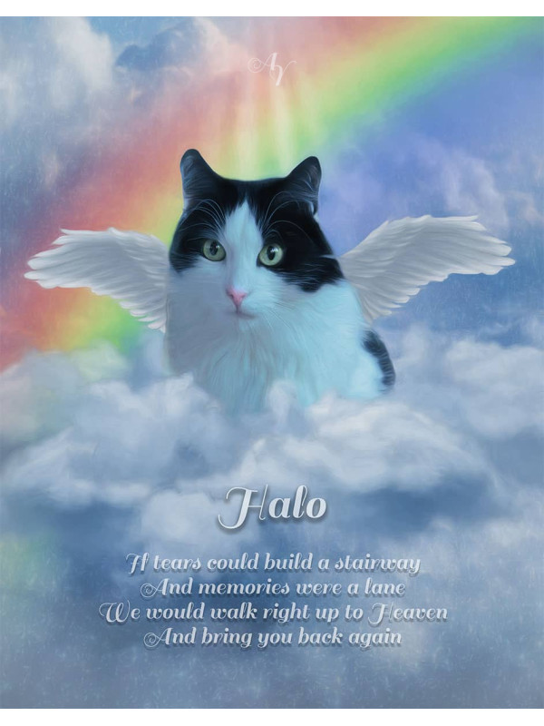 Angel Wings Pet Memorial Customized Photo Paintings