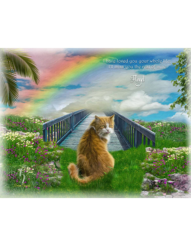 Sky Rainbow Bridge Pet Memorial Customized Photo Paintings