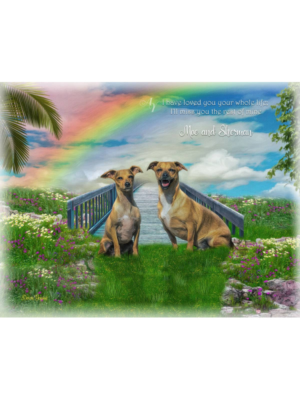 Sky Rainbow Bridge Pet Memorial Customized Photo Paintings