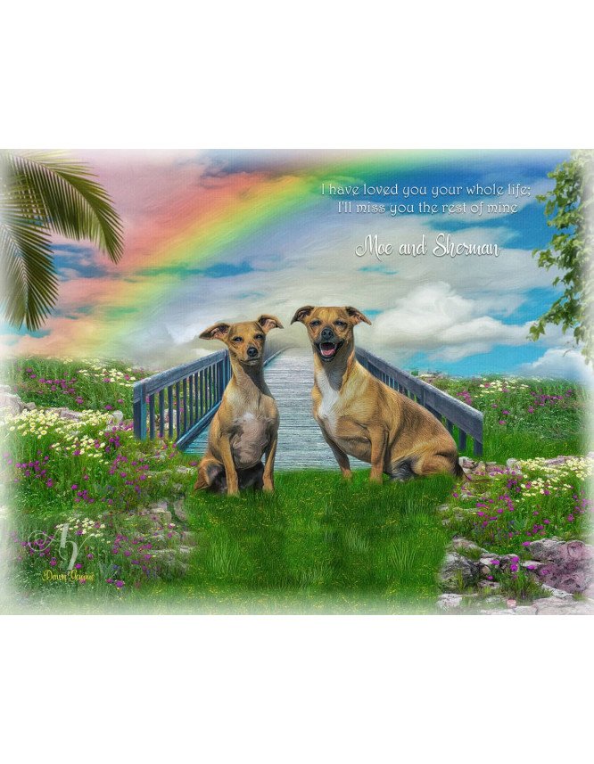 Sky Rainbow Bridge Pet Memorial Customized Photo Paintings Sky Rainbow Bridge Pet Memorial Customized Photo Paintings