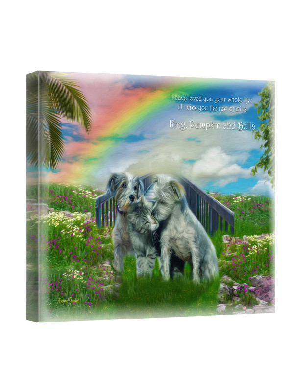 Sky Rainbow Bridge Pet Memorial Customized Photo Paintings