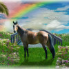 Sky Rainbow Bridge Pet Memorial Customized Photo Paintings