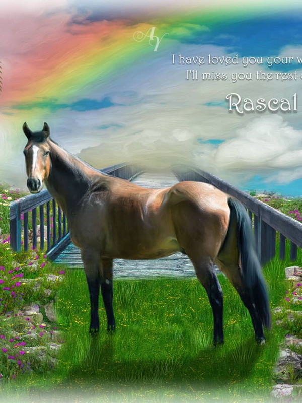 Sky Rainbow Bridge Pet Memorial Customized Photo Paintings