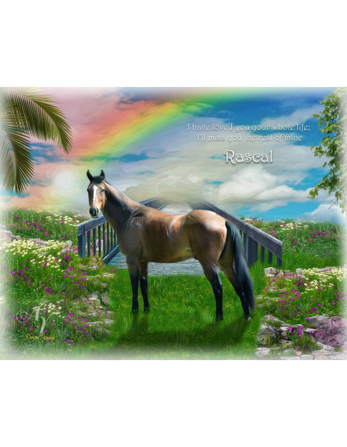Sky Rainbow Bridge Pet Memorial Customized Photo Paintings Sky Rainbow Bridge Pet Memorial Customized Photo Paintings