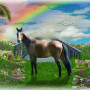 Sky Rainbow Bridge Pet Memorial Customized Photo Paintings