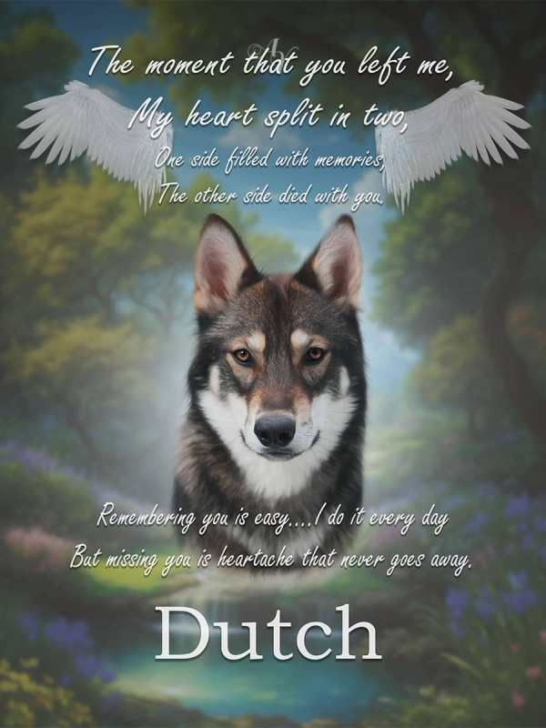 Heavens Garden Pet Memorial Customized Photo Paintings
