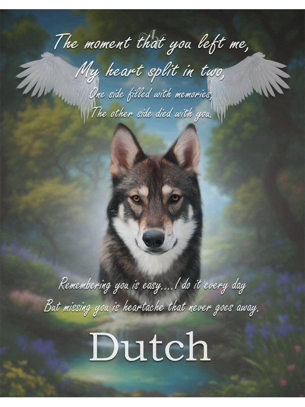 Heavens Garden Pet Loss Memorial Customized Photo Paintings
