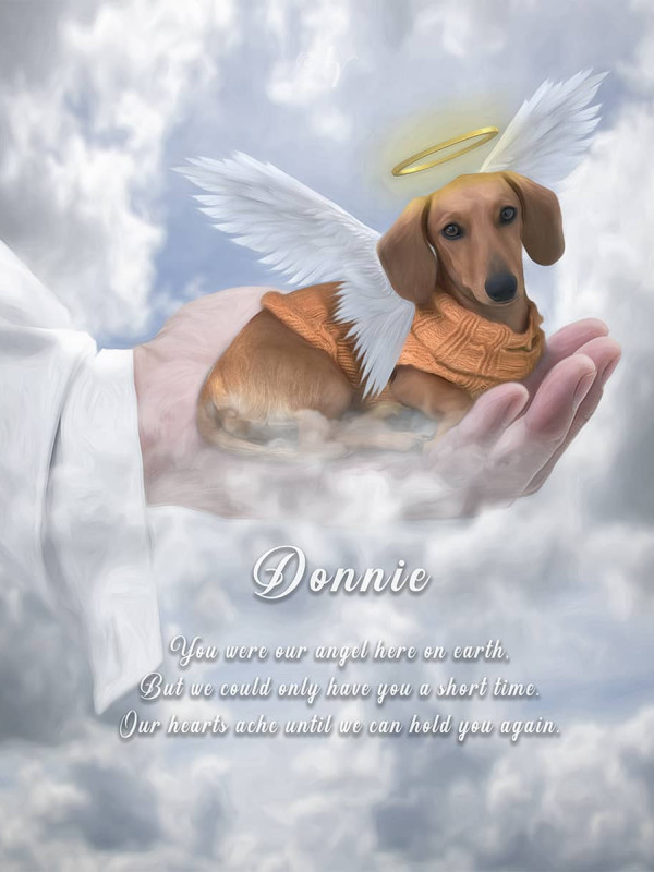 In Gods Hand Pet Memorial Customized Photo Paintings