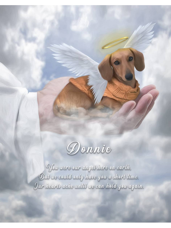 In Gods Hand Pet Memorial Customized Photo Paintings`````