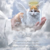 In Gods Hand Pet Memorial Customized Photo Paintings