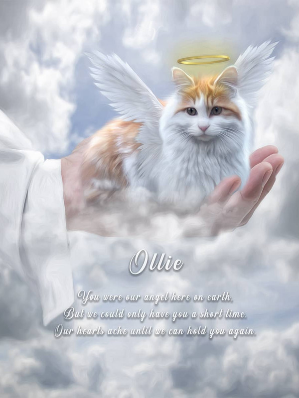 In Gods Hand Pet Memorial Customized Photo Paintings
