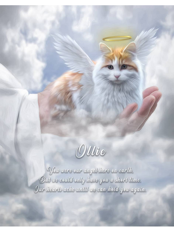 In Gods Hand Pet Memorial Customized Photo Paintings`````