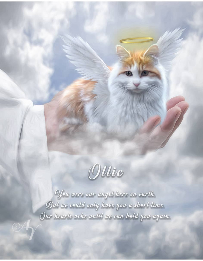 In Gods Hand Pet Memorial Customized Photo Paintings In Gods Hand Pet Memorial Customized Photo Paintings
