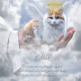 In Gods Hand Pet Memorial Customized Photo Paintings