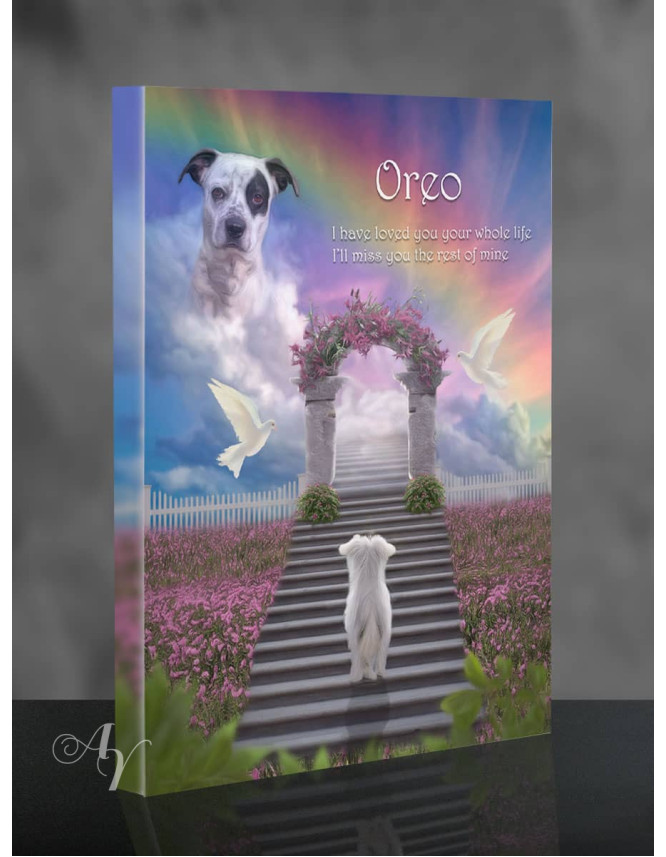 Stairway To Heaven Pet Memorial Portrait Painting Stairway To Heaven Pet Memorial Portrait Painting