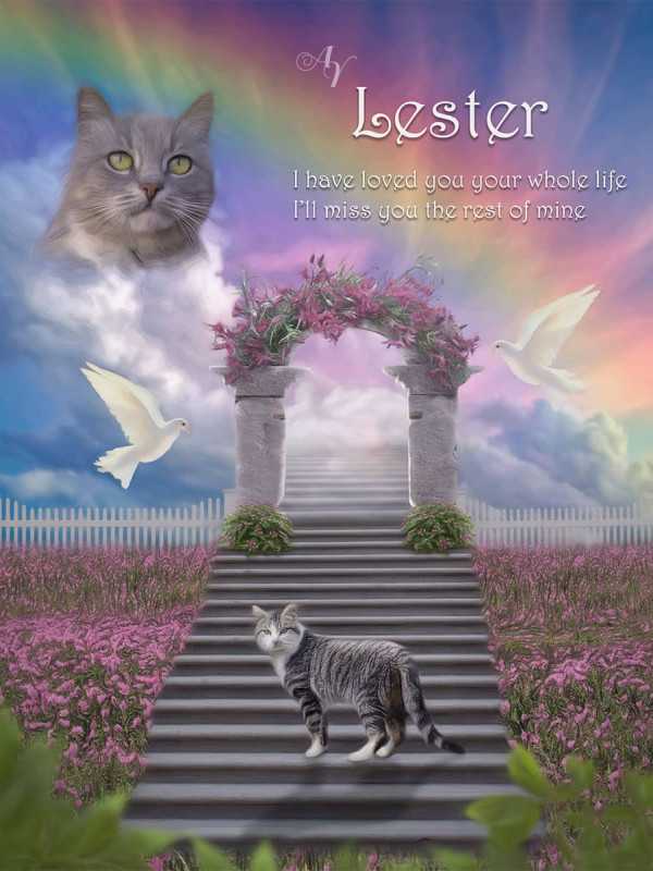 Stairway To Heaven Pet Memorial Portrait Painting