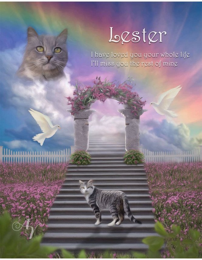 Stairway To Heaven Pet Memorial Portrait Painting Stairway To Heaven Pet Memorial Portrait Painting