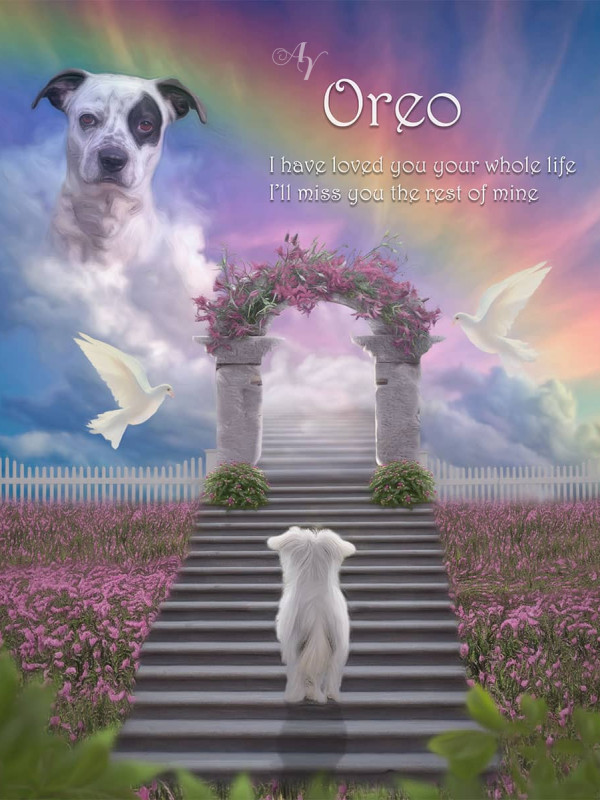 Stairway To Heaven Pet Memorial Portrait Painting