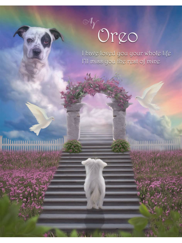 Stairway To Heaven Pet Memorial Portrait Painting