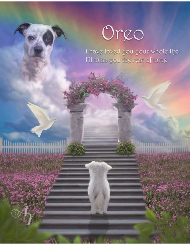 Stairway To Heaven Pet Memorial Portrait Painting Stairway To Heaven Pet Memorial Portrait Painting