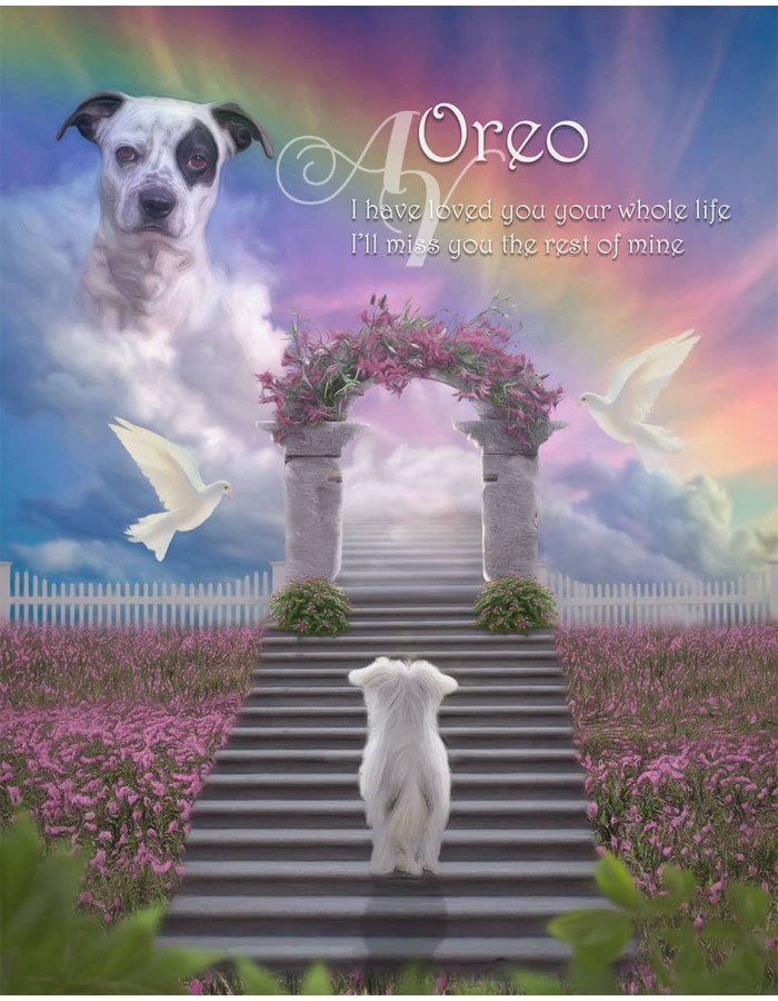 Stairway To Heaven Pet Memorial Portrait Painting Stairway To Heaven Pet Memorial Portrait Painting