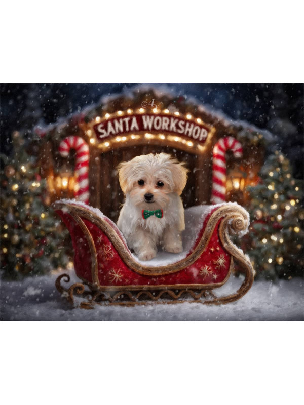 Santa Workshop Christmas Pet Customized Photo Paintings