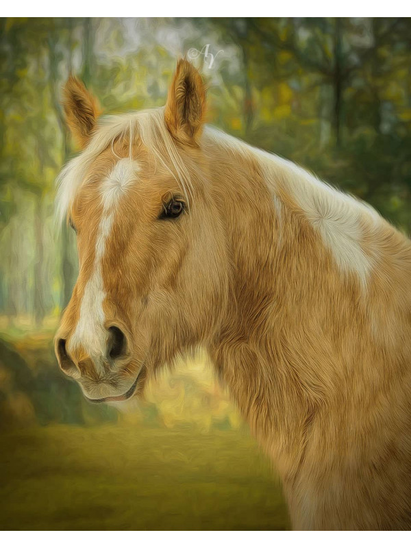 Classic All Pet Customized Photo Paintings
