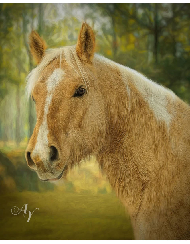 Classic All Pet Customized Photo Paintings