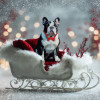 White Sleigh Holiday Pet Customized Photo Paintings