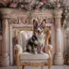 Victorian Rose Pet Customized Photo Paintings