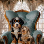 Victorian Sitting Room Pet Customized Photo Paintings