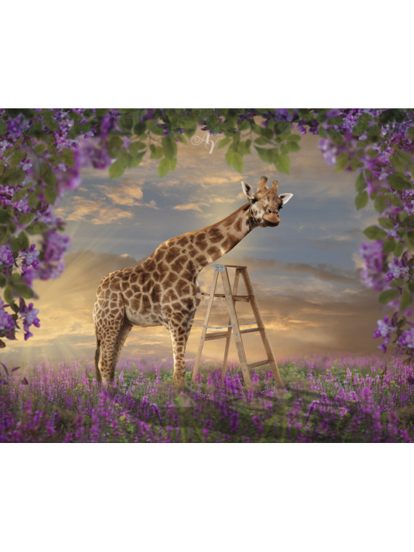 Child and Tall Giraffe Customized Photo Paintings