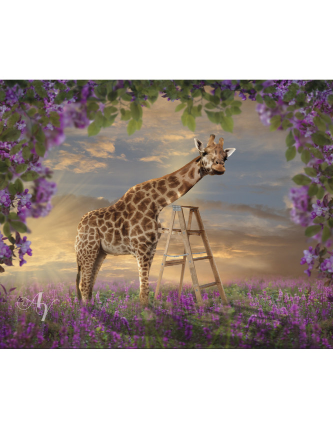 Child and Tall Giraffe Customized Photo Paintings Child and Tall Giraffe Customized Photo Paintings
