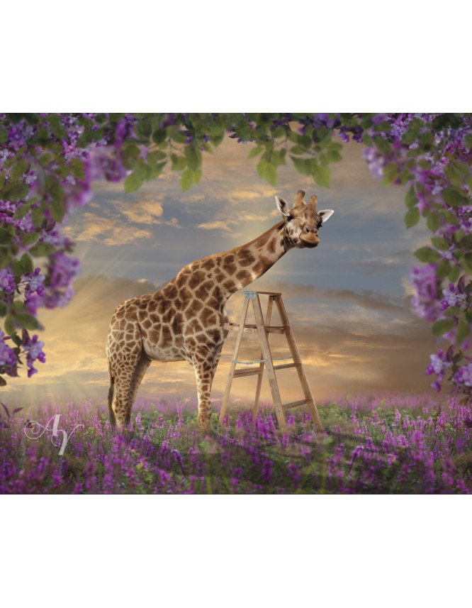 Child and Tall Giraffe Customized Photo Paintings Child and Tall Giraffe Customized Photo Paintings