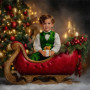 Holiday Sleigh Child Customized Photo Paintings