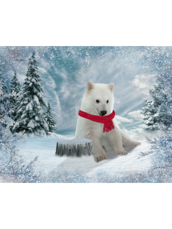 Child with Polar Bear Cub Customized Photo Paintings