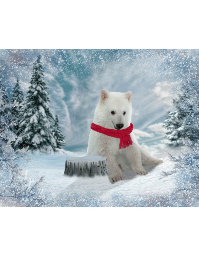 Child and Polar Bear Cub Customized Photo Paintings Child and Polar Bear Cub Customized Photo Paintings