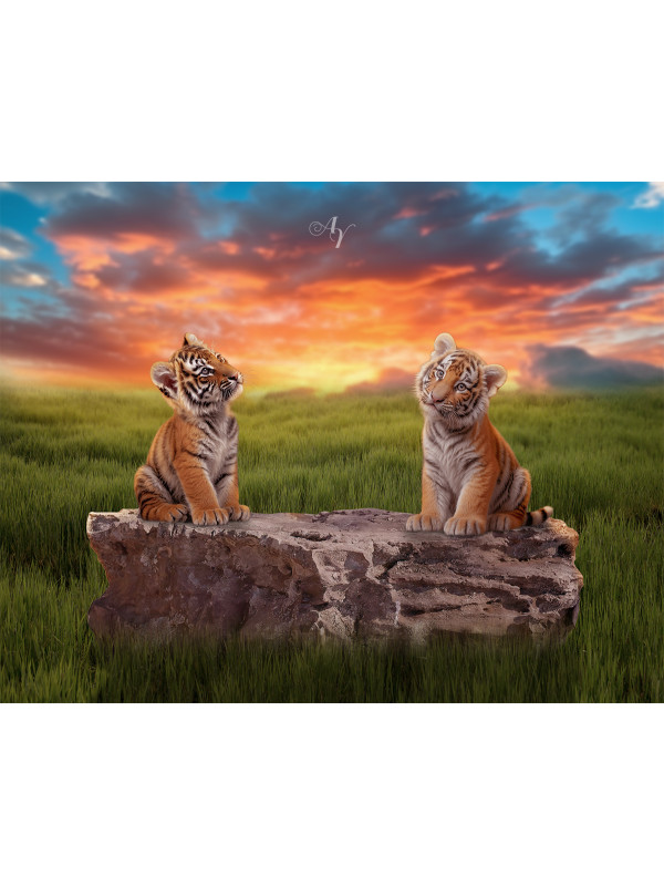 Child and Tiger Cubs Customized Photo Paintings