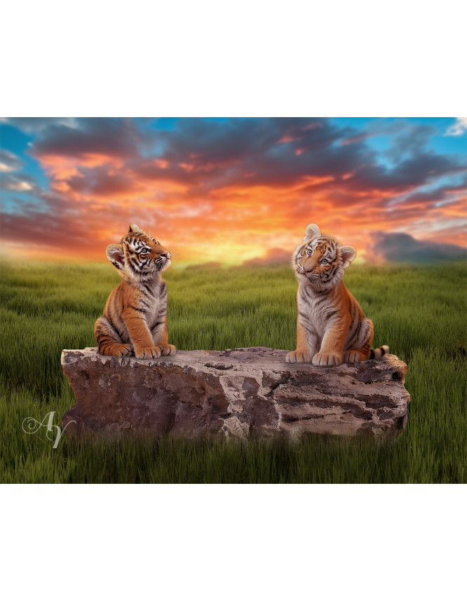 Child and Tiger Cubs Customized Photo Paintings Child and Tiger Cubs Customized Photo Paintings