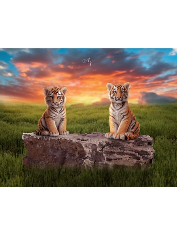 Child and Tiger Cubs Customized Photo Paintings