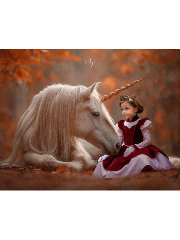 Child Princess - Unicorn Customized Photo Paintings
