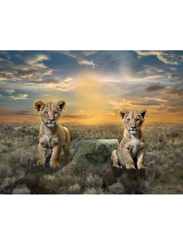 Child and Lion Cubs Customized Photo Painting
