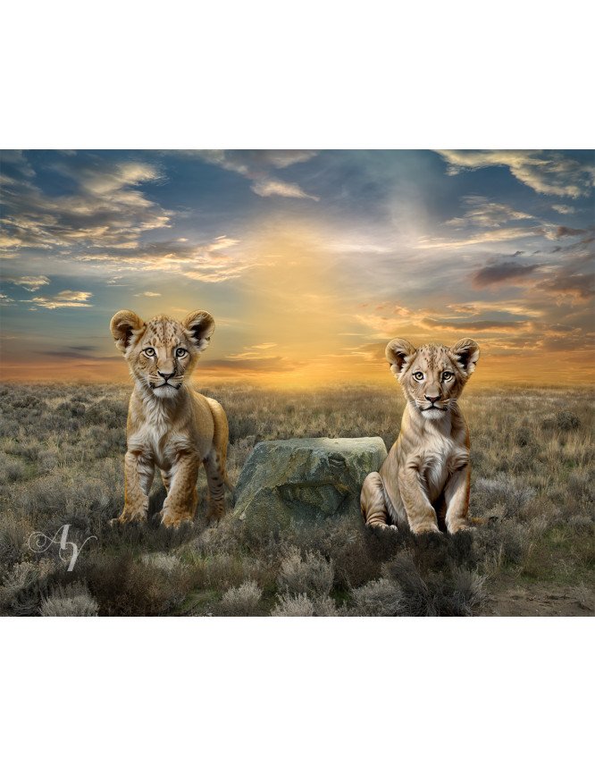 Child and Lion Cubs Customized Photo Paintings Child and Lion Cubs Customized Photo Paintings