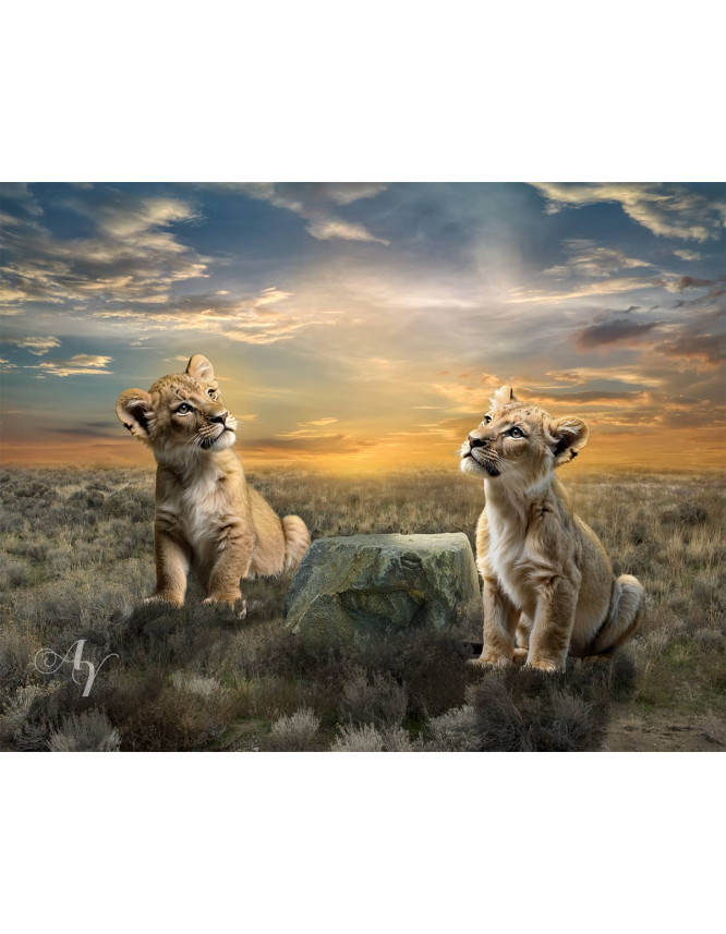 Child and Lion Cubs Customized Photo Paintings