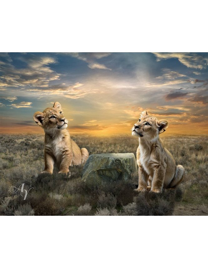 Child and Lion Cubs Customized Photo Paintings Child and Lion Cubs Customized Photo Paintings