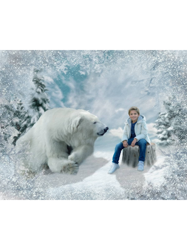 Child with Polar Bear Customized Photo Paintings
