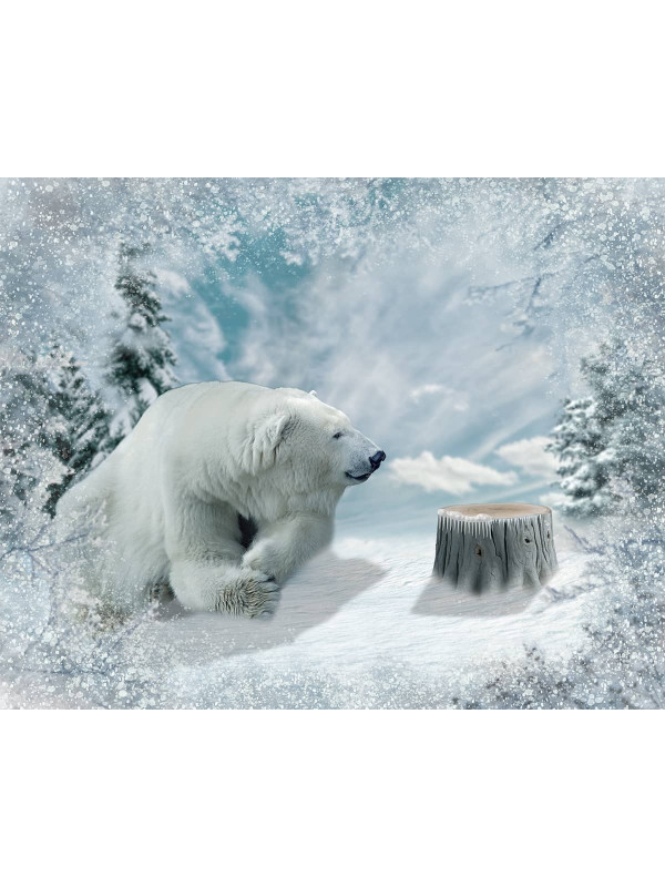 Child with Polar Bear Customized Photo Paintings